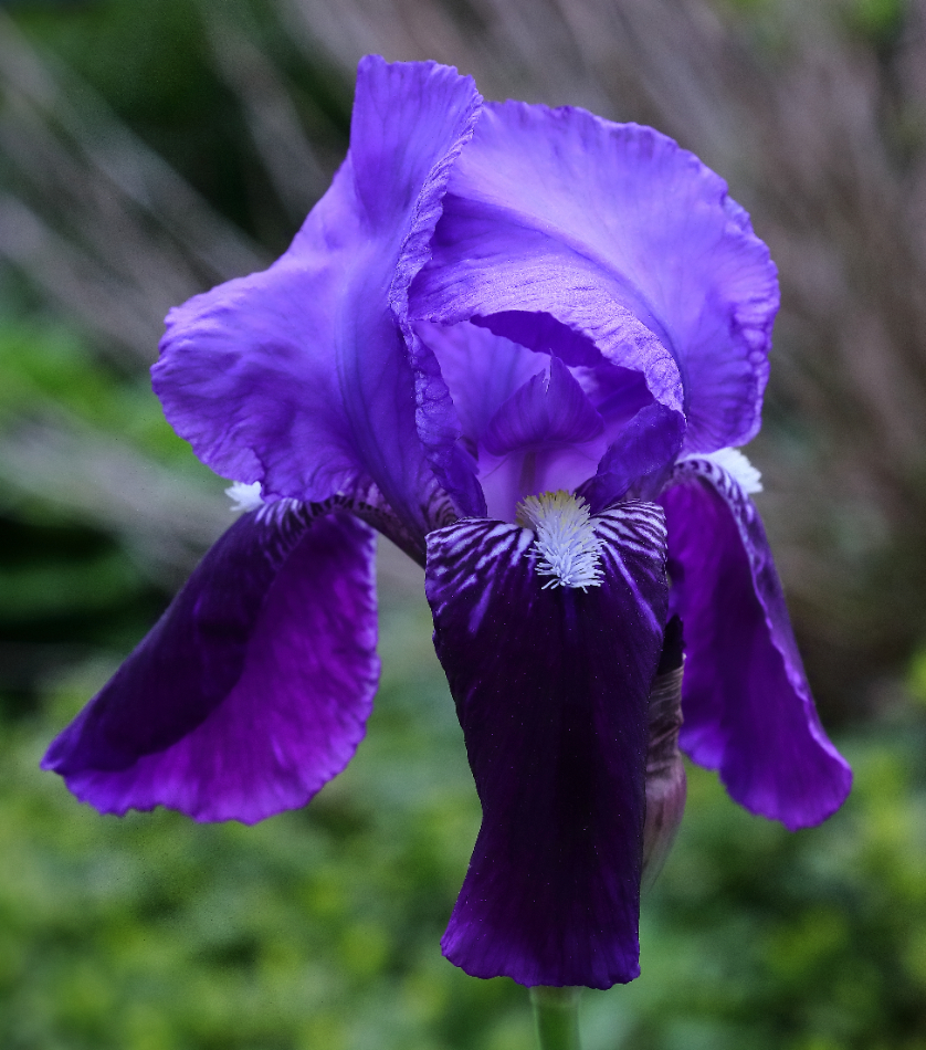 2019 05 09 HTP 90037e